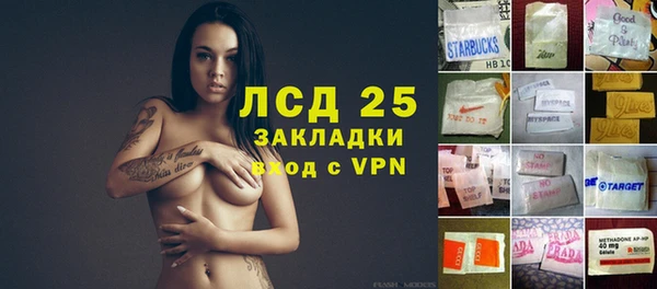 гидра Володарск