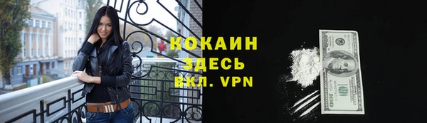 гидра Володарск