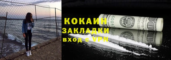 гидра Володарск