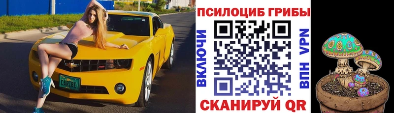 мега как зайти мориарти наркотические препараты Псилоцибиновые грибы Cubensis Дмитриев