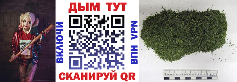Марихуана планчик Дмитриев